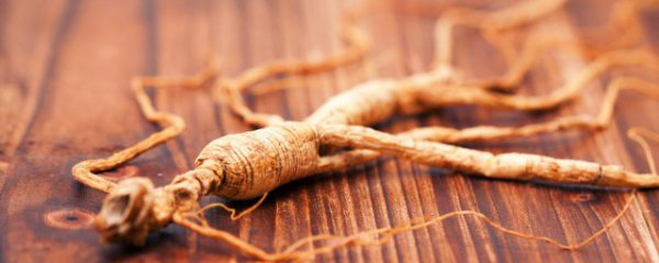 人参怎么鉴别真假