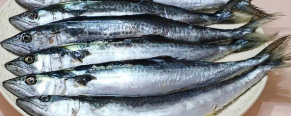 吃鲅鱼有什么好处