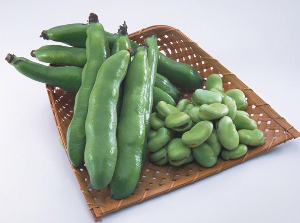 蚕豆怎样保鲜更持久一些