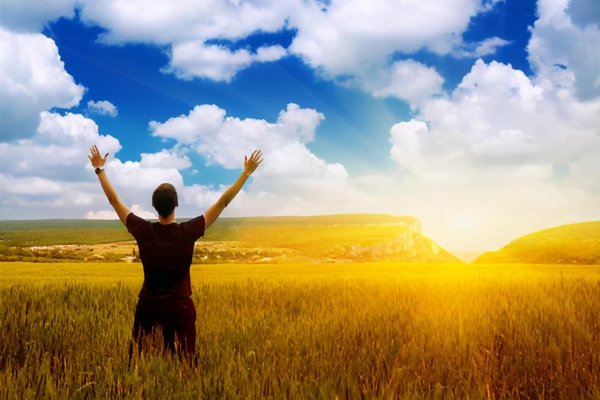 信用卡最多可以逾期多久