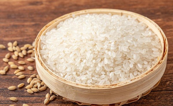 正宗五常大米品牌标识