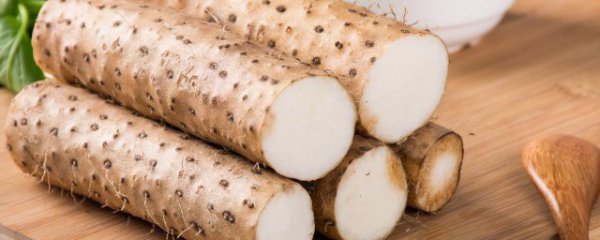 铁棍山药一次吃多少合适