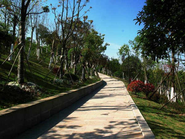 重庆万州十大旅游景点推荐