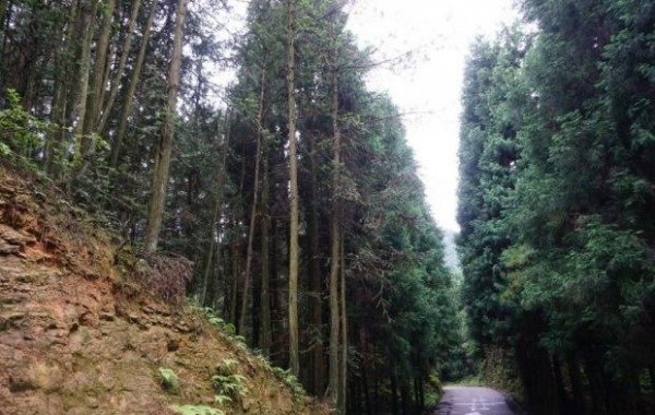 重庆万州十大旅游景点推荐