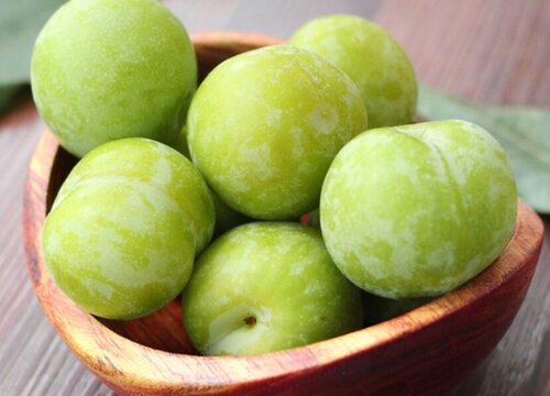 青李子什么时候上市