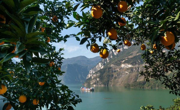 长江三峡是哪三峡的总称