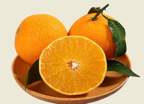 水果有公母之分吗