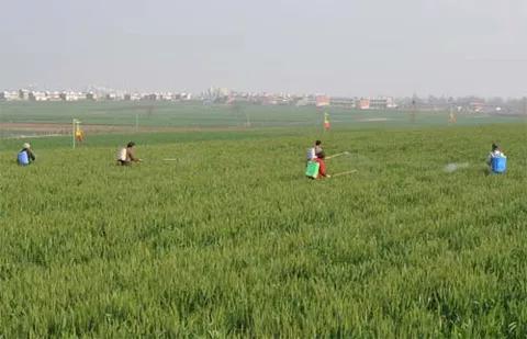 怎样清洗打过除草剂的喷雾器