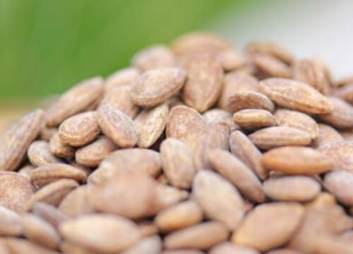 吊瓜子适合什么地方种植