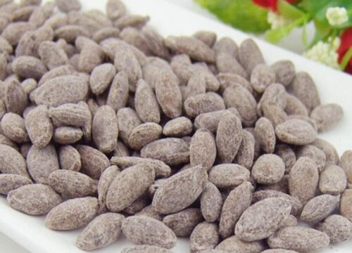 吊瓜子适合什么地方种植