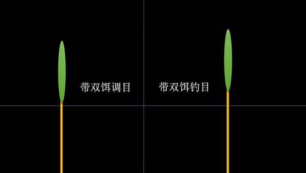 加粗尾浮漂应该如何正确调漂图解