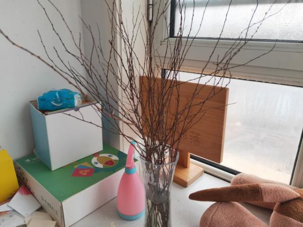 干枝遇水开花的原理是什么