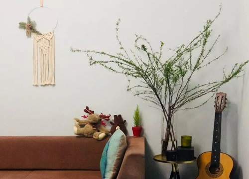 干枝遇水开花的原理是什么