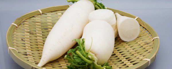 白萝卜应该如何储存保鲜