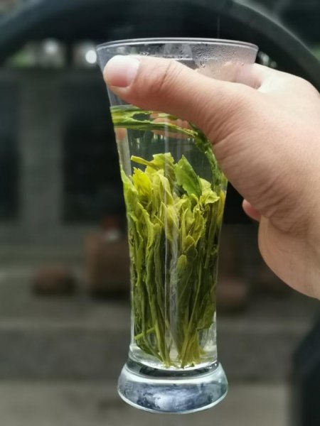 太平猴魁的正确冲泡方法