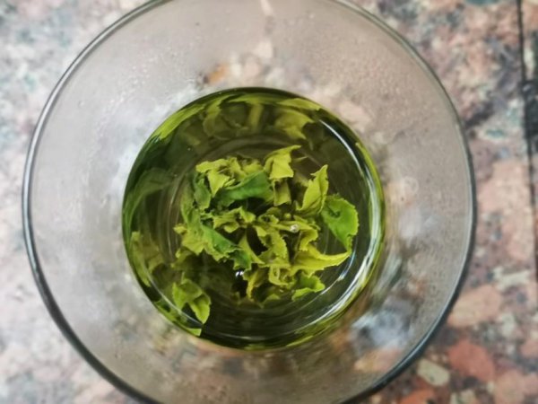 太平猴魁的正确冲泡方法