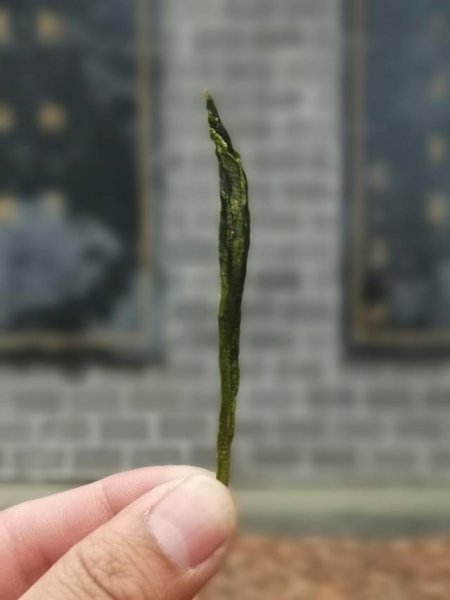 太平猴魁的正确冲泡方法