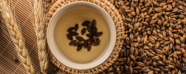 麦子冬天怎么养才能长