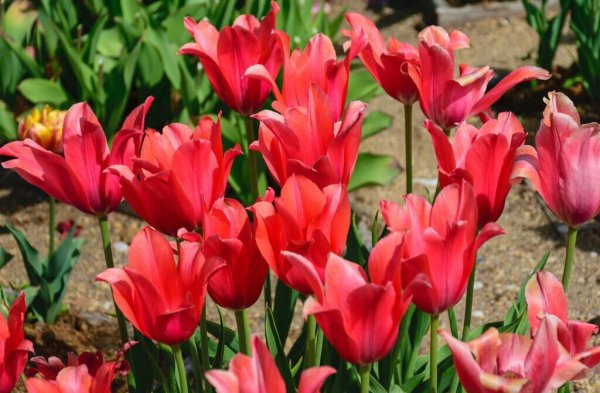 不爱了的婚姻还有必要继续吗