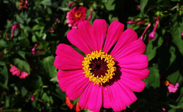 不爱了的婚姻还有必要继续吗