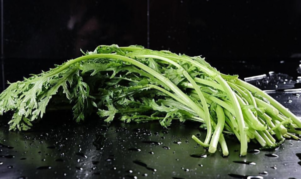 生长周期短的蔬菜品种