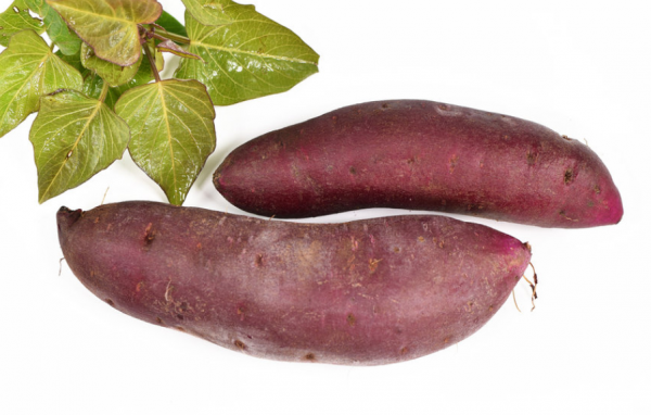 生长周期短的蔬菜品种