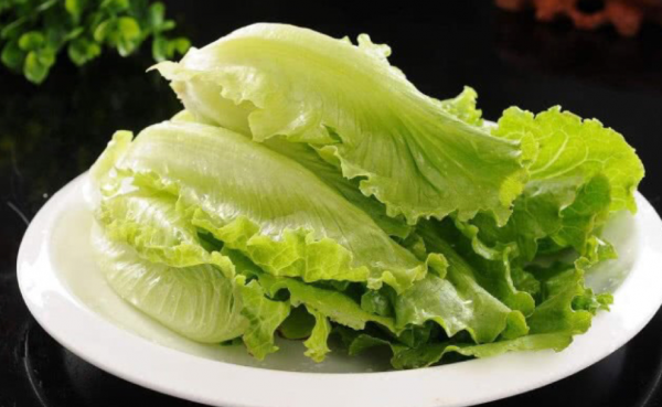 生长周期短的蔬菜品种