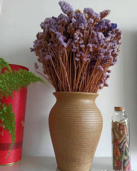 鸟笼效应是什么意思