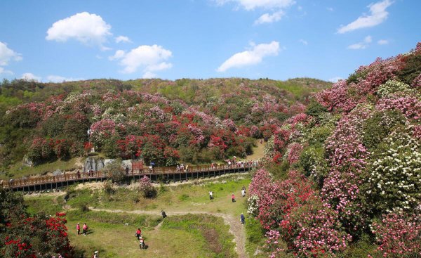 贵州的旅游景点有哪些地方