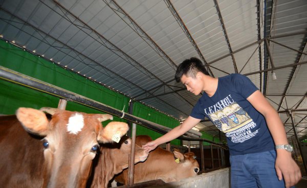 养20头牛国家补贴多少钱