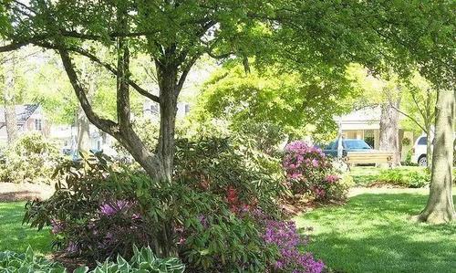 有钱不买阴凉地