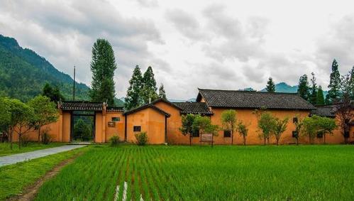 有钱不买阴凉地