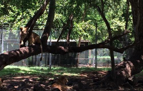 有钱不买阴凉地