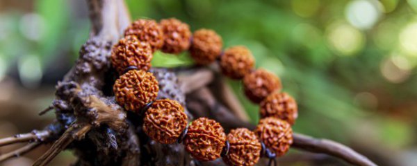 葫芦核桃手串保养方法