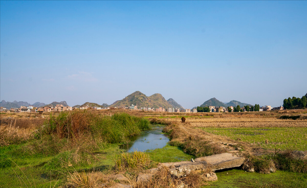 新田县属于哪个市