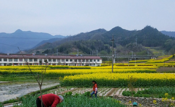 新田县属于哪个市
