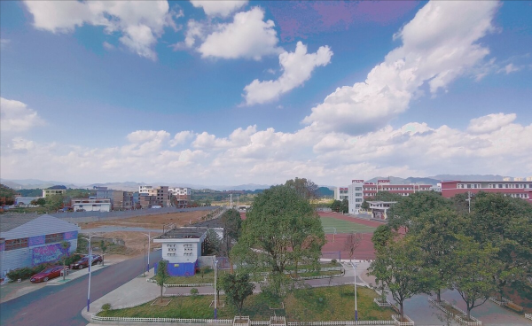 新田县属于哪个市