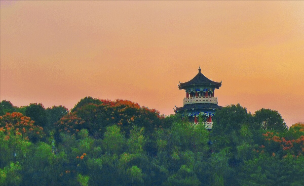 新田县属于哪个市