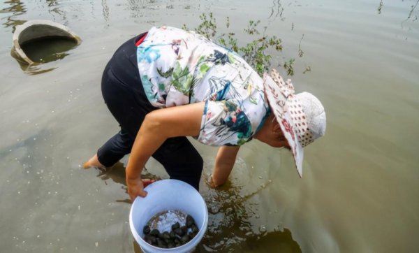 在农村养殖什么最赚钱