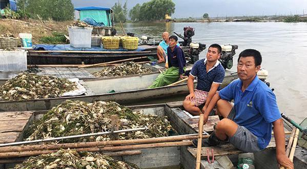 在农村养殖什么最赚钱