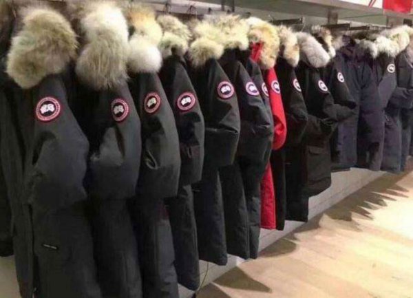 鹅绒服和鸭绒服区别