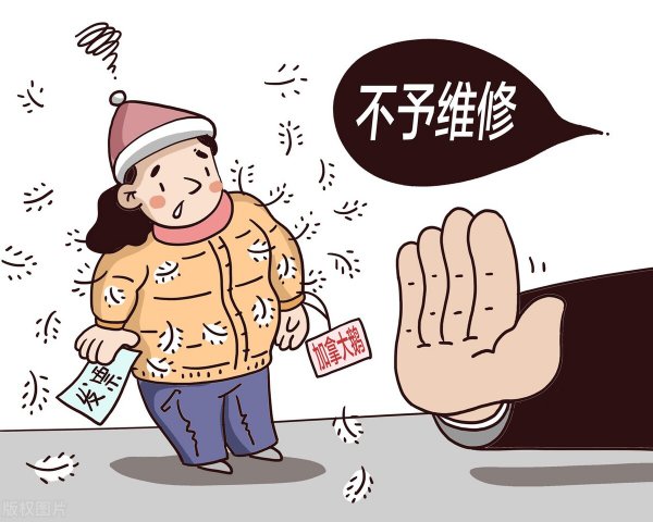 鹅绒服和鸭绒服区别