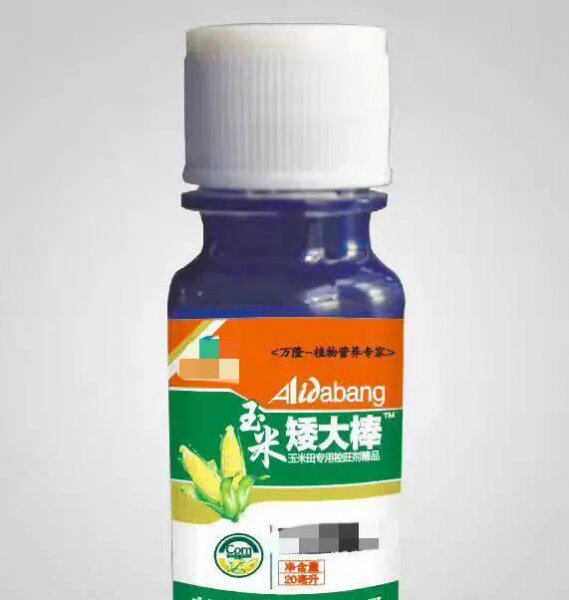 玉米几片叶打控旺药