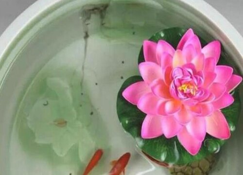 4月如何栽种碗莲比较好