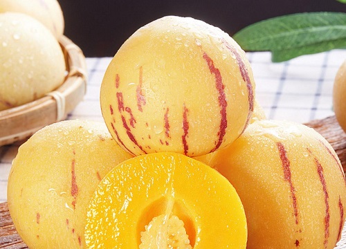 人参果是热带水果吗