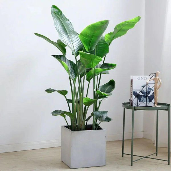 水泥花盆的优缺点分析