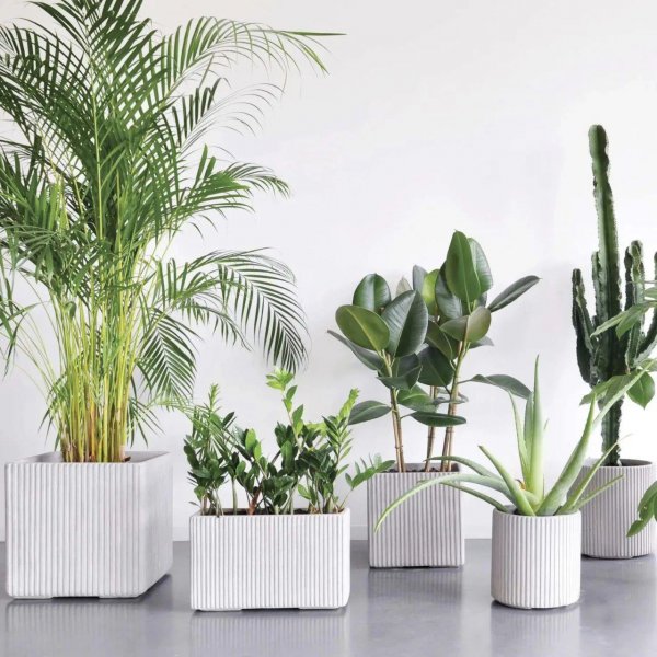 水泥花盆的优缺点分析