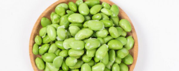 毛豆几月份种植