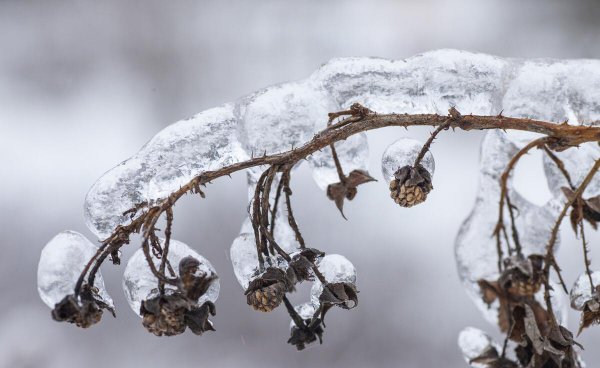 常见的天气现象有哪些