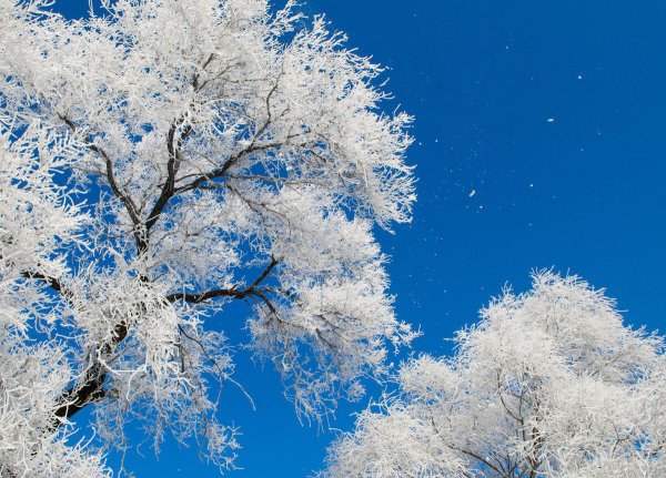 常见的天气现象有哪些